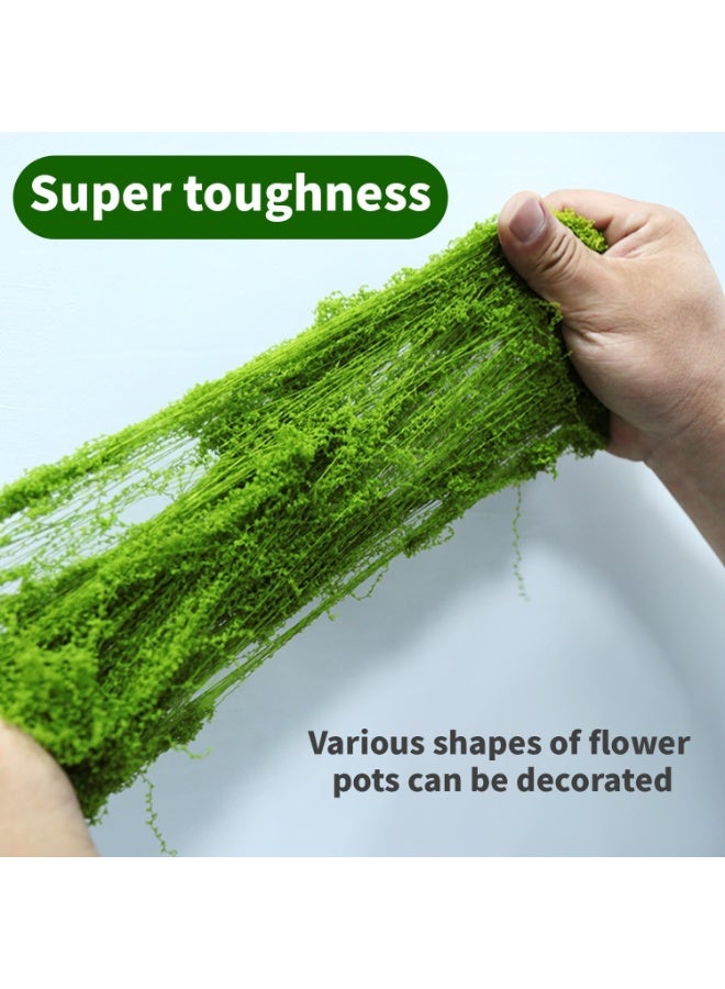 OSHIMA Artificial Moss Fake Green Grass, Faux Moss Decorative Artificial Plants, Artificial Plants Decoration, DIY Green Crafts, Wedding Decoration, Wall, Nativity, Nativity Scene - Image 4